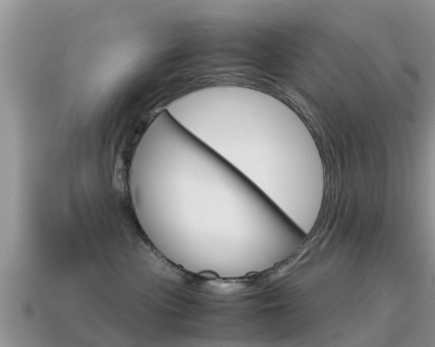 X0000115500477200911061026