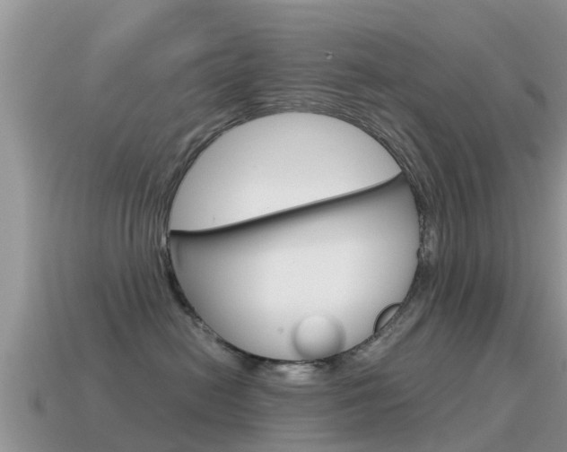 X0000115500478200911061026