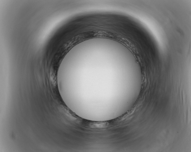 X0000115500479200911061026