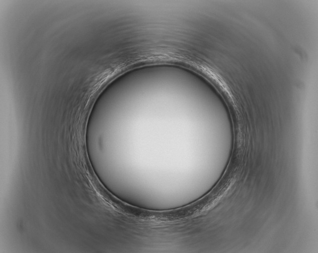X0000115500481200911061025