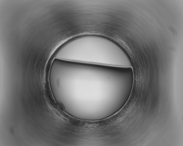 X0000115500484200911061025