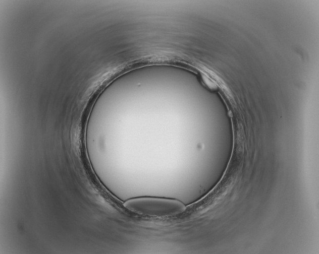 X0000115500485200911061025
