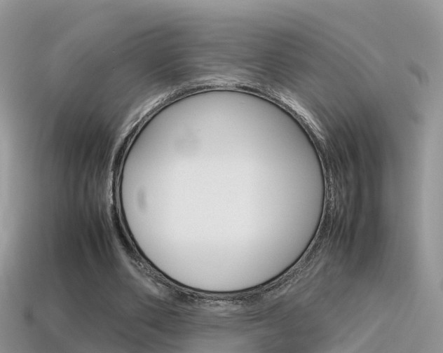 X0000115500486200911061025