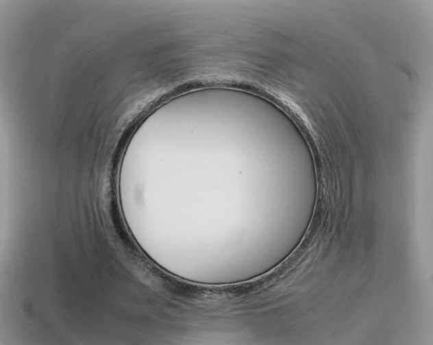 X0000115500487200911061025