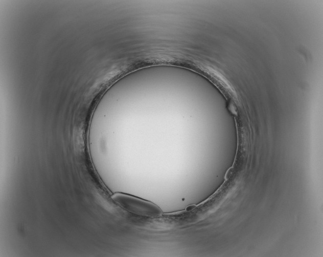 X0000115500489200911061025