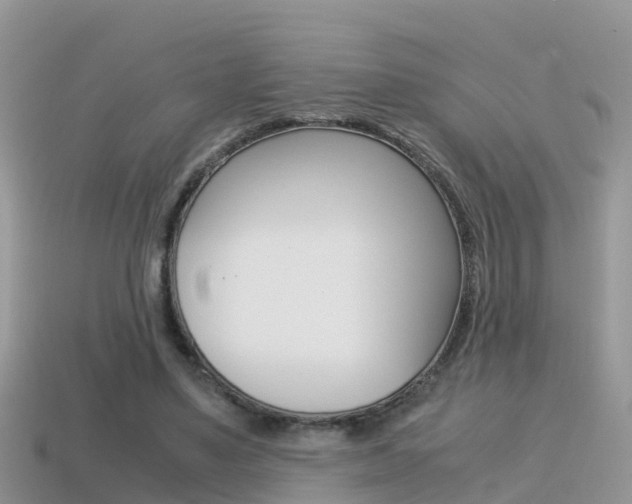 X0000115500491200911061025