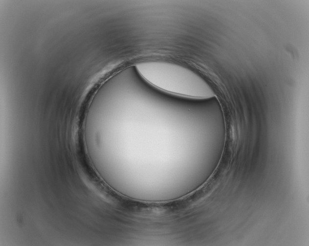 X0000115500492200911061025