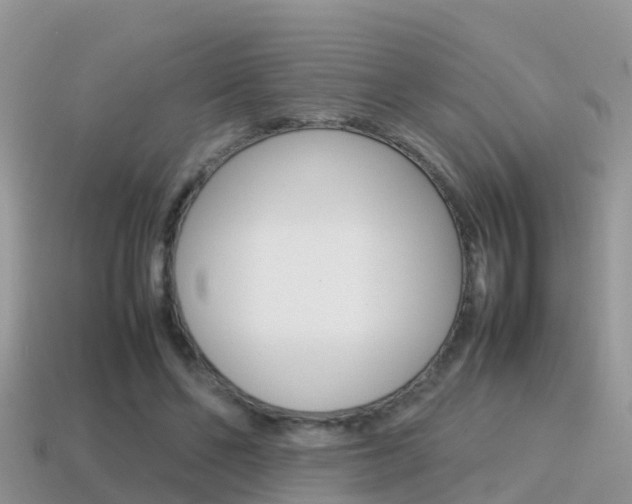 X0000115500494200911061025