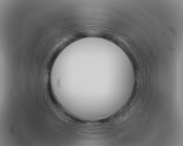 X0000115500495200911061025