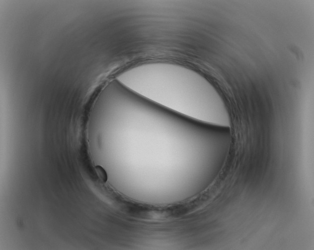 X0000115500496200911061025