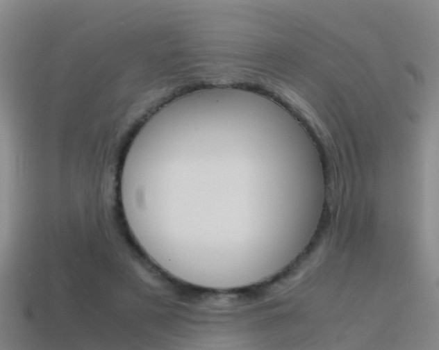 X0000115500497200911061025