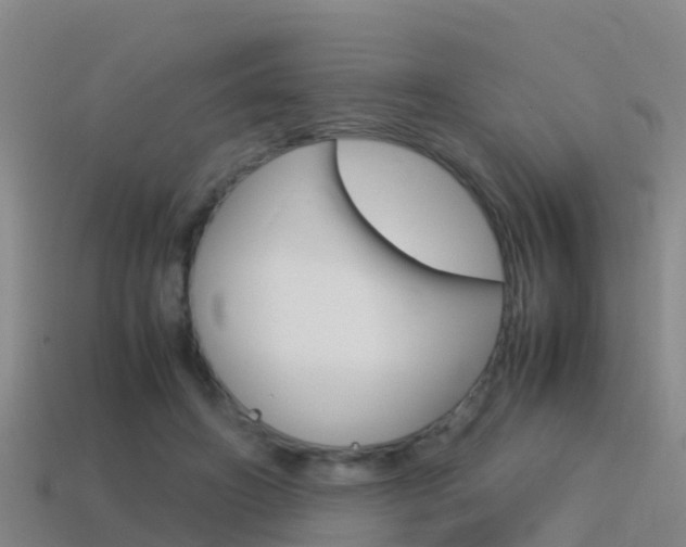 X0000115500498200911061025