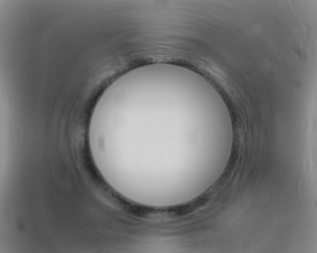 X0000115500499200911061025