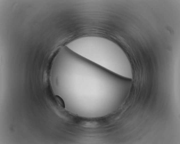 X0000115500500200911061025