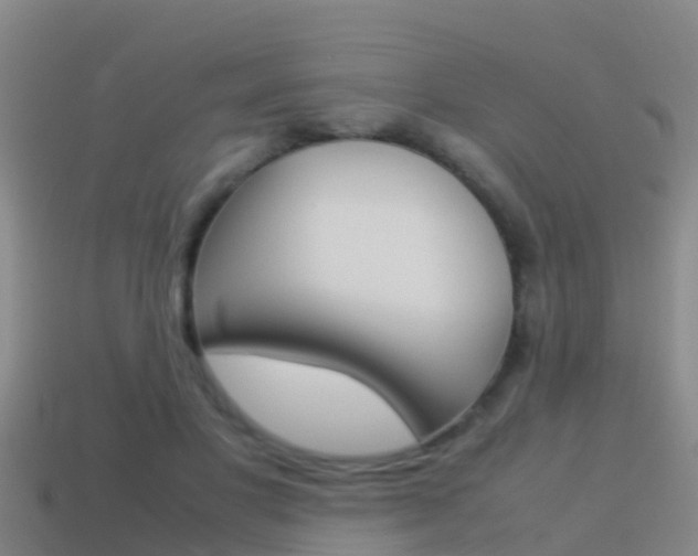 X0000115500501200911061025