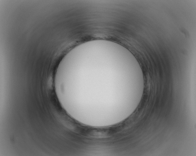 X0000115500502200911061025