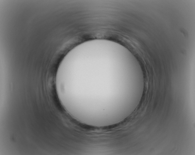 X0000115500503200911061025