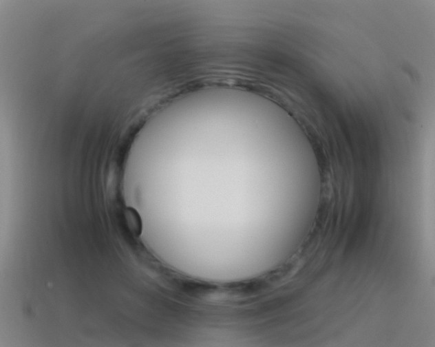 X0000115500504200911061025