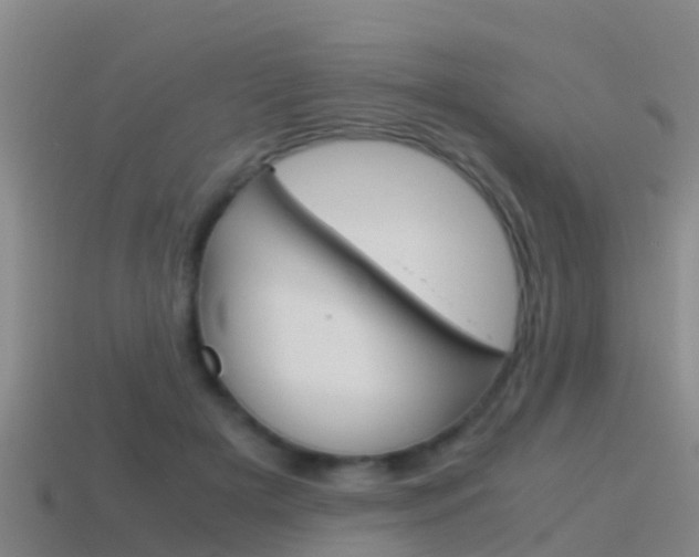 X0000115500505200911061025