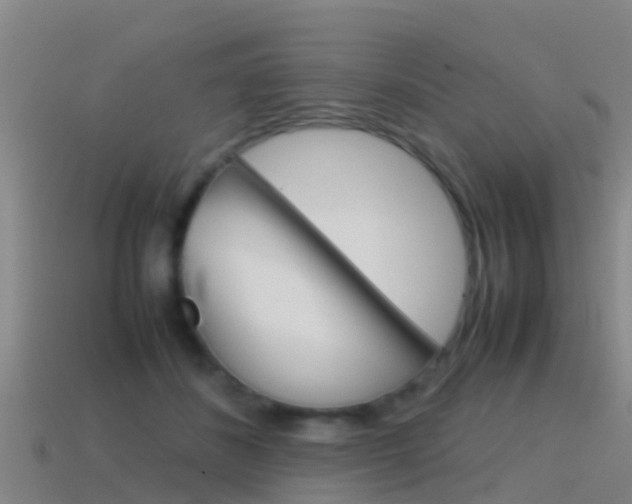 X0000115500508200911061025
