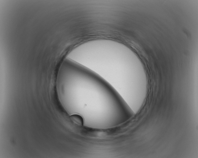 X0000115500509200911061025