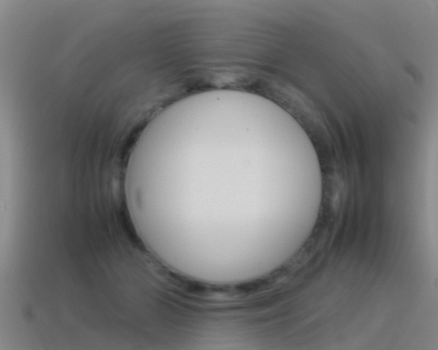 X0000115500510200911061025