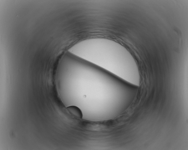 X0000115500512200911061025