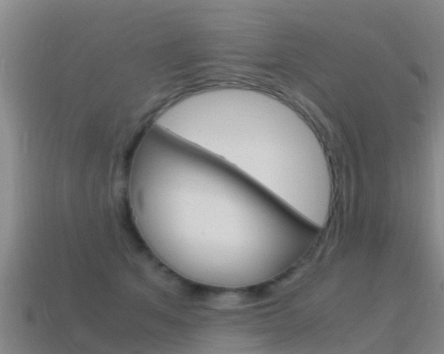 X0000115500513200911061025