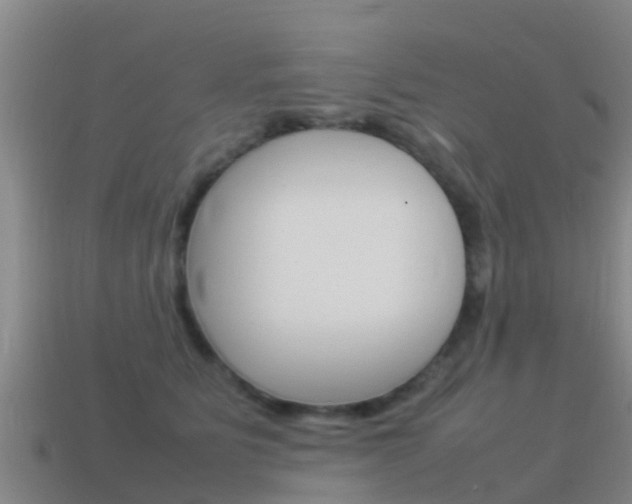 X0000115500515200911061025
