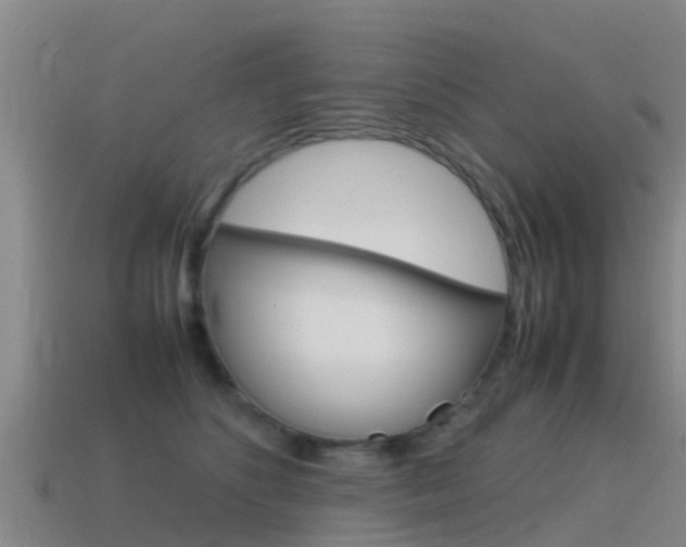 X0000115500516200911061025