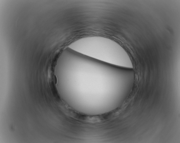 X0000115500520200911061025