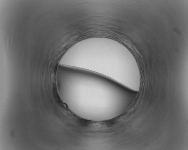X0000115500521200911061025