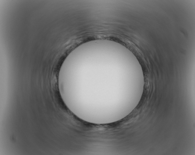 X0000115500523200911061025