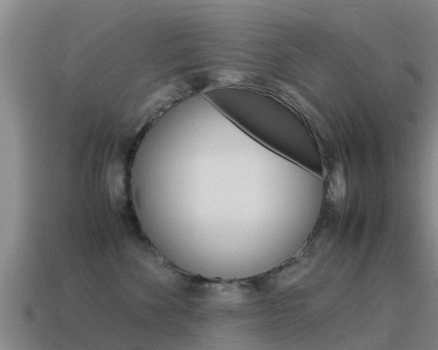 X0000115500524200911061025