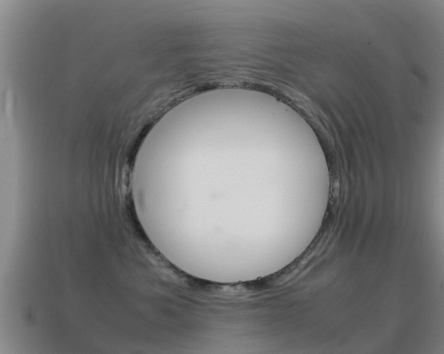 X0000115500525200911061025