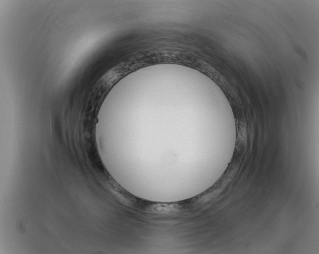 X0000115500526200911061025