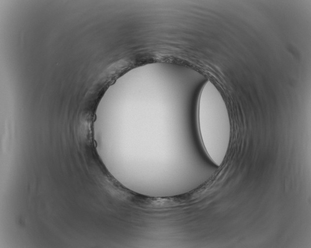 X0000115500527200911061025
