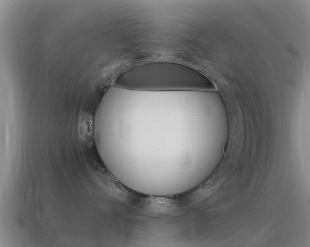 X0000115500528200911061025