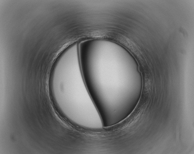X0000115500530200911061024