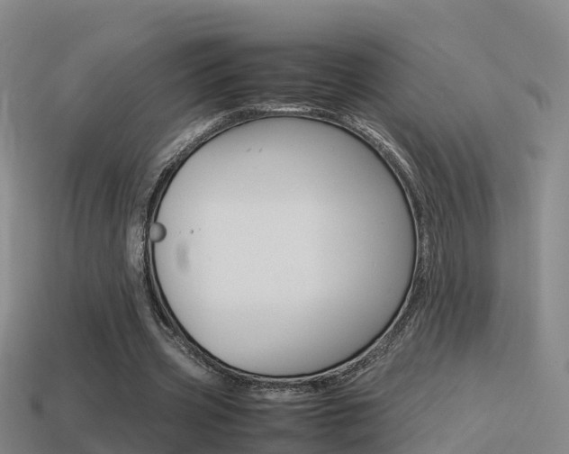 X0000115500533200911061024