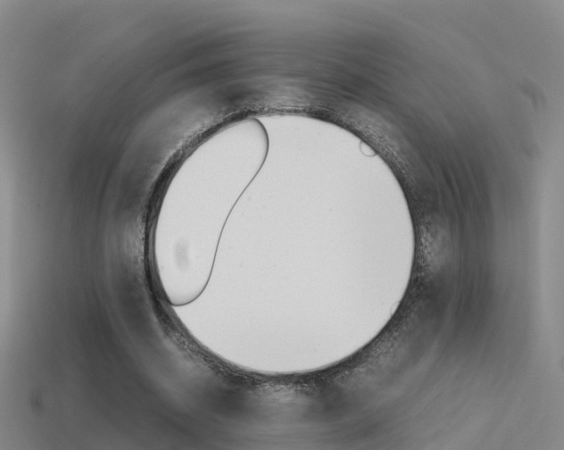 X0000115500534200911061024