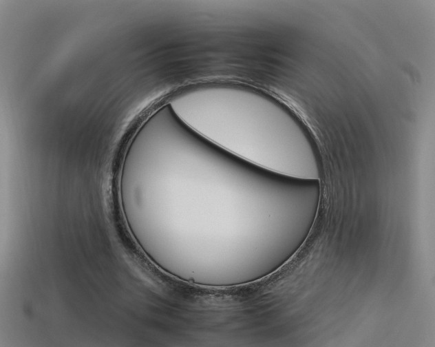 X0000115500535200911061024