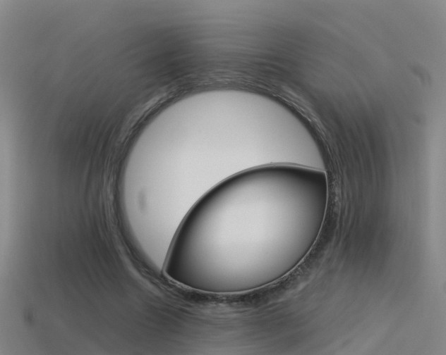 X0000115500538200911061024