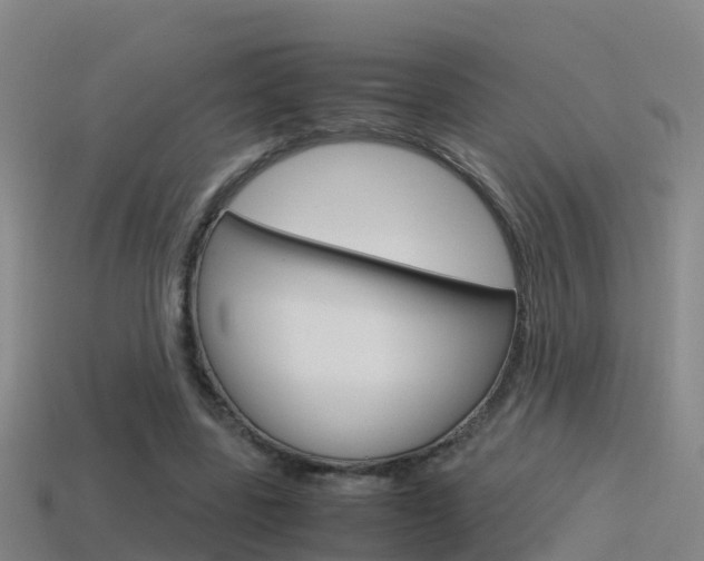X0000115500539200911061024