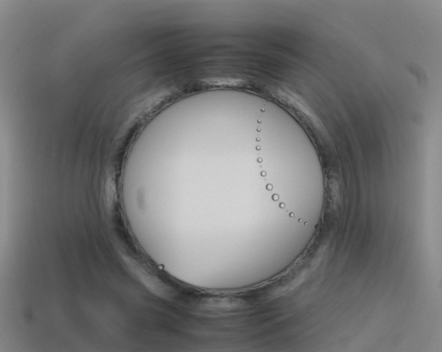 X0000115500541200911061024