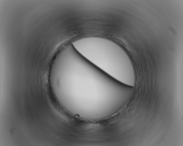 X0000115500543200911061024