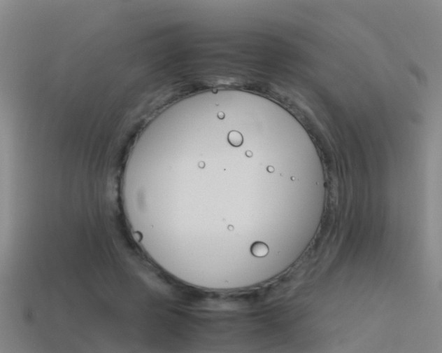 X0000115500545200911061024