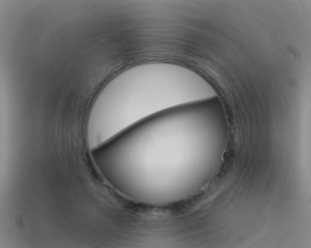 X0000115500546200911061024