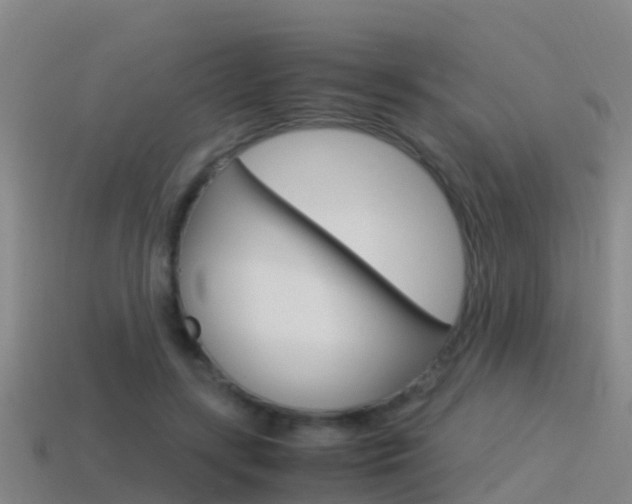 X0000115500547200911061024
