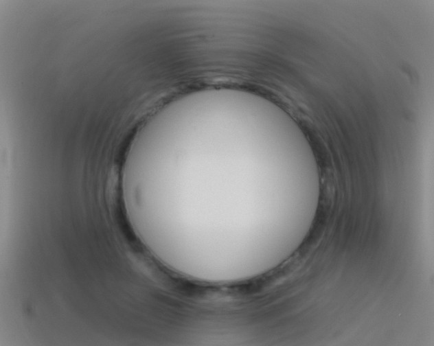 X0000115500550200911061024